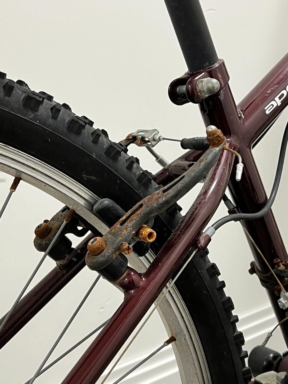 Biciclette: Apollo red wine bike – Usato da Zürich venduto da yan_h6r5 6