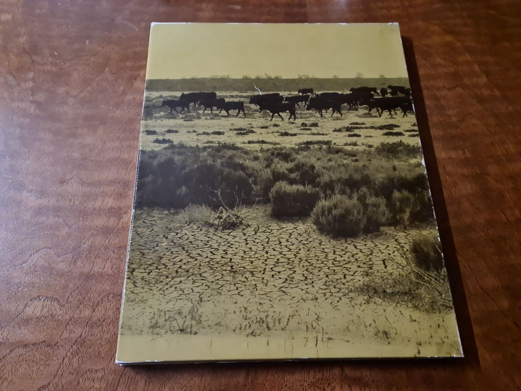 Bücher: CAMARGUE – Gebraucht aus Erstfeld von Uhu1980 1
