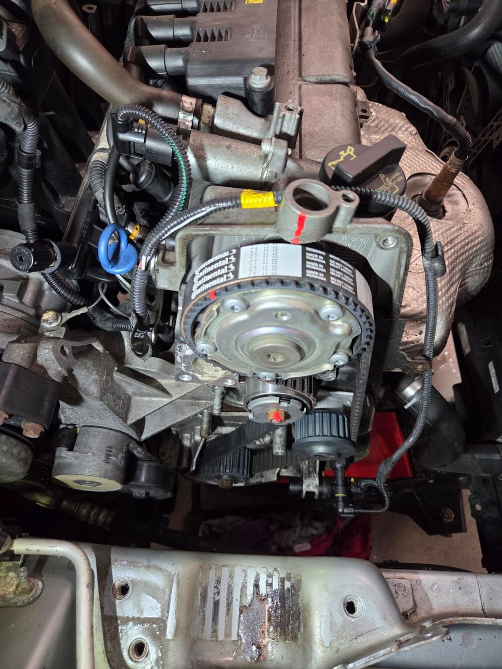 Fiat Automobili:  Fiat Punto 1.4 8v – Usato da Wettingen venduto da mer_w2pd 5