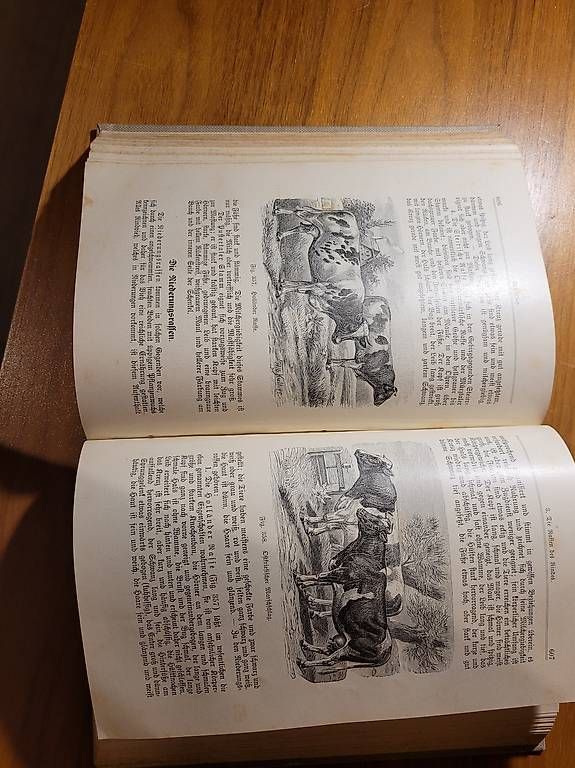 Libri: Altes Tiermedizin Lehrbuch – Usato da Münchenbuchsee venduto da b-tschai 1