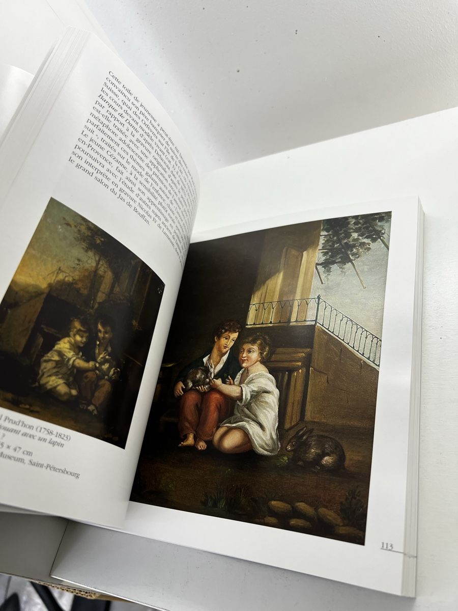Libri: Paul Cézanne - Le chant de la terre – Usato da Wettingen venduto da NickInc 7