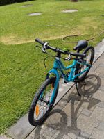 Naloo Chameleon 20 Zoll
