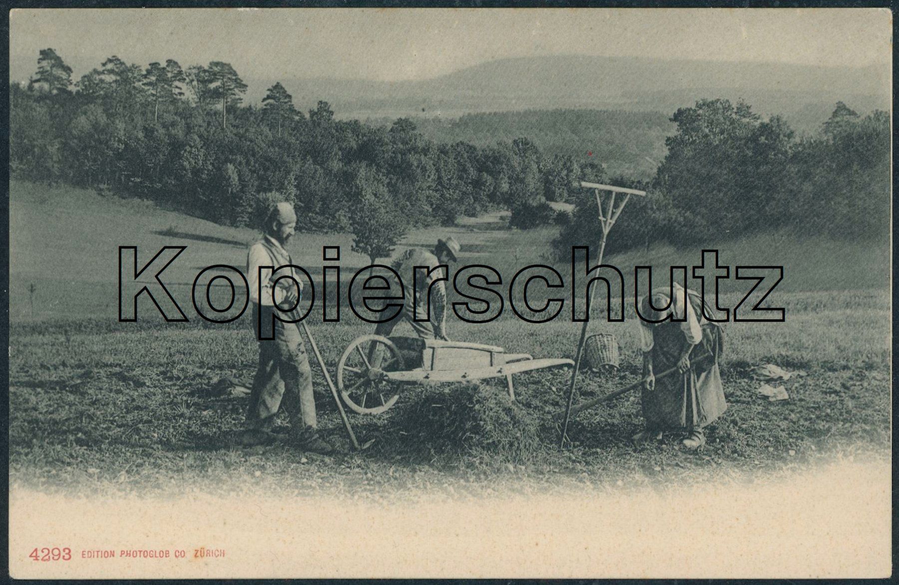 Ansichtskarten: CH Schweiz - Landwirtschaft – Neu (gemäss Beschreibung) aus Schindellegi von Jonathan77