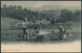 CH Schweiz - Landwirtschaft