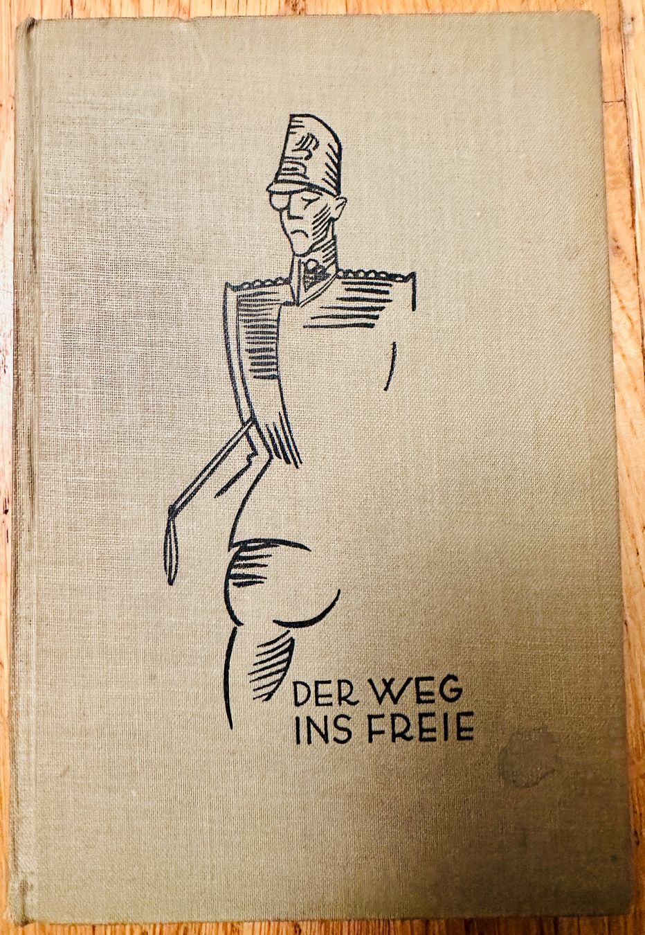 Libri: Arthur Schnitzler: Der Weg ins Freie. 1929 – Usato da Zürich venduto da allp