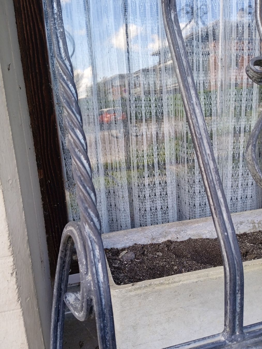 Gitter & Roste: Fenstergitter – Gebraucht aus Allschwil von Sylvia50 1