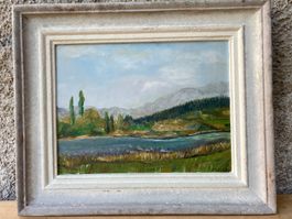 Flusslandschaft