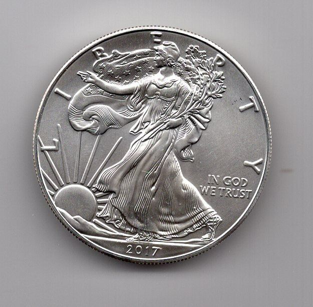 Tutti le monete: (1328) USA, 1 Eagle Silber Unze, 2017, stgl – Usato da Rüthi (Rheintal) venduto da erdnuessli1