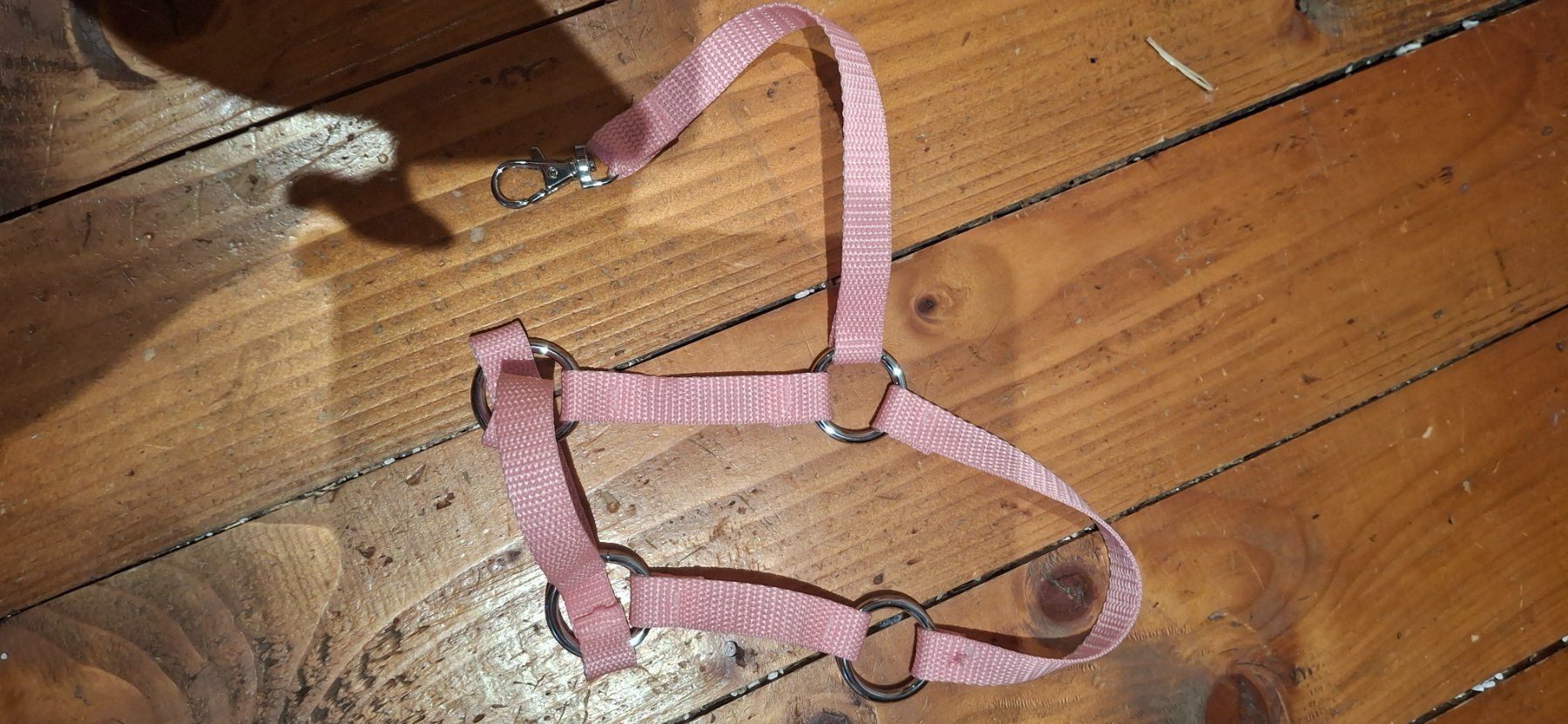 Spielzeuge: Hobby Horse, Steckenpferd – Gebraucht aus Dussnang von novi02 6