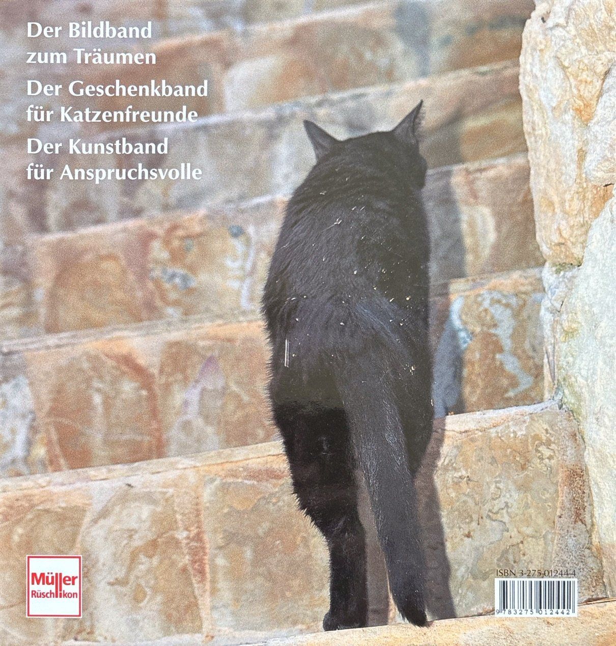 Libri: Sock Marianne, Anmutige Katzen – Nuovo (secondo la descrizione) da Sarnen venduto da Livres 1