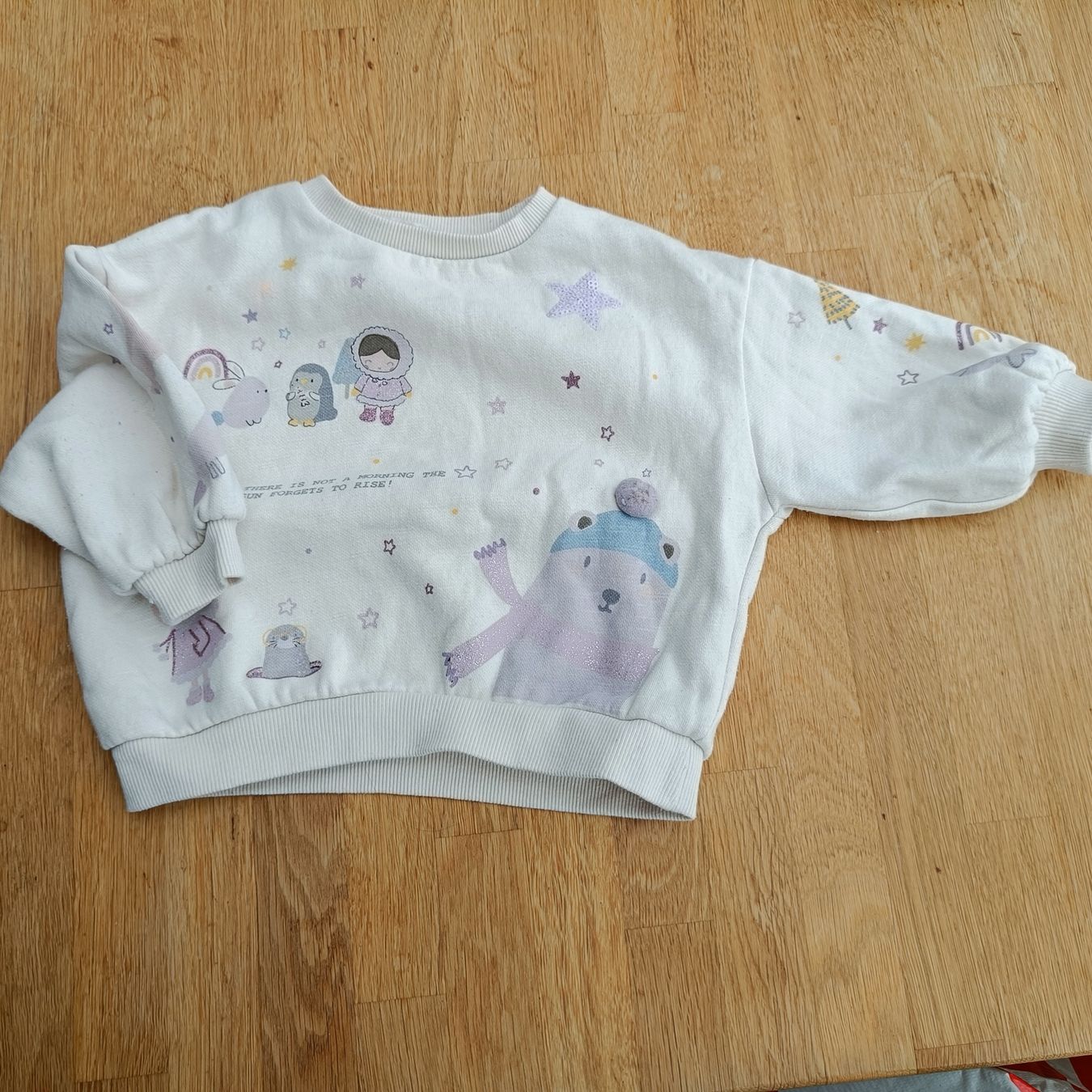 Maglioni & Felpe: Pullover Grösse 80 – Usato da Jaberg venduto da urig17.