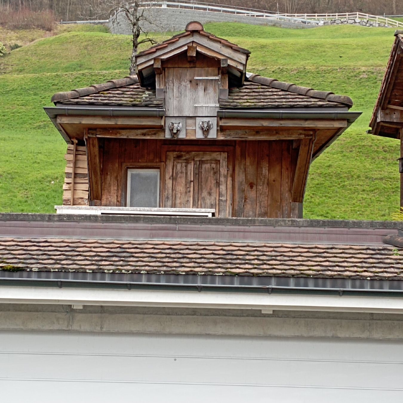 Gabbie, trasporto & Sicurezza: Garten oder Hühnerhaus – Usato da Steinhausen venduto da mg3097 5