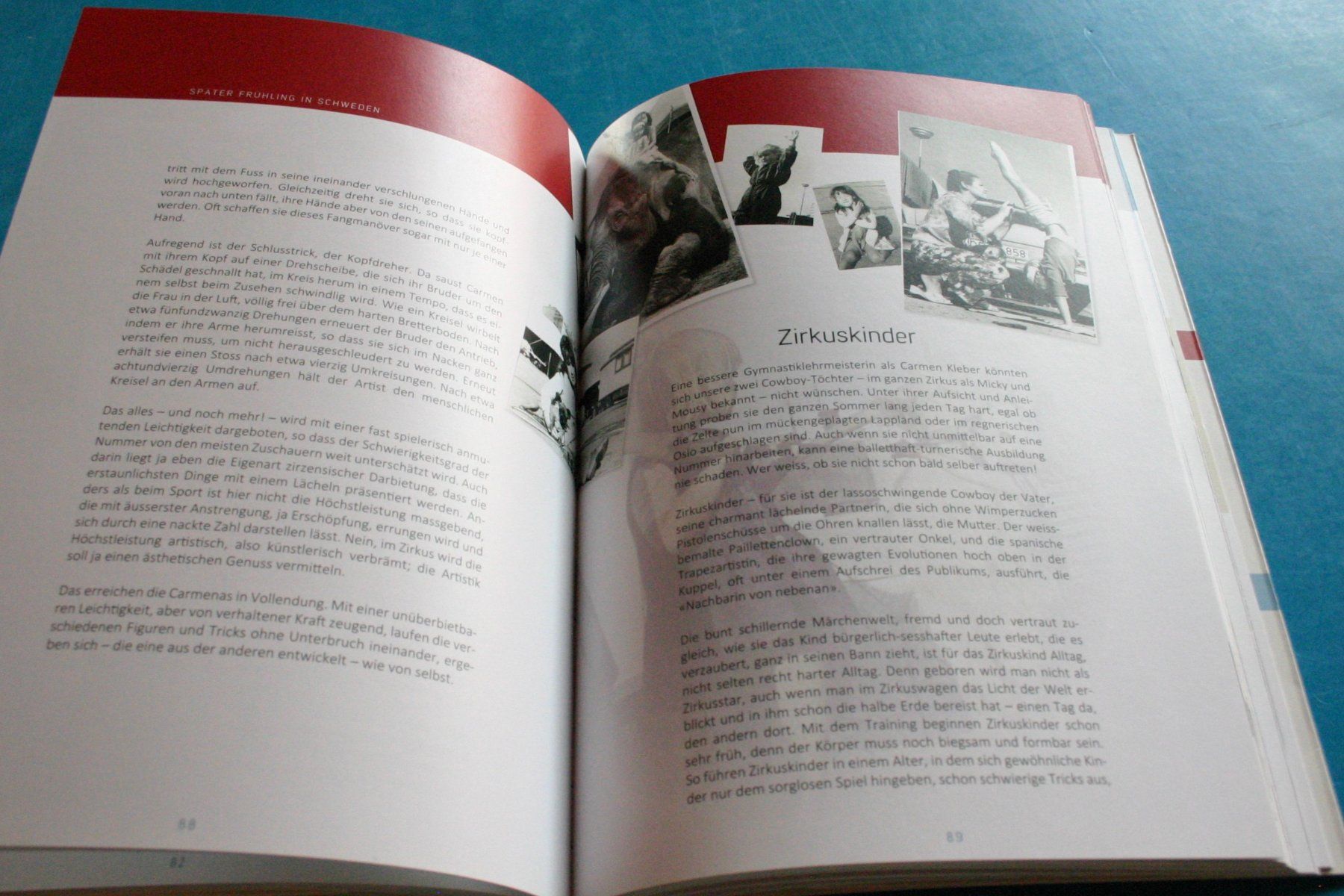 Libri: Zirkus Circus Mit Sandry nach Schweden – Usato da Winkel venduto da franzxaver60 4