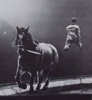 Photographie in der Schweiz von 1840 bis heute (Erstausgabe)