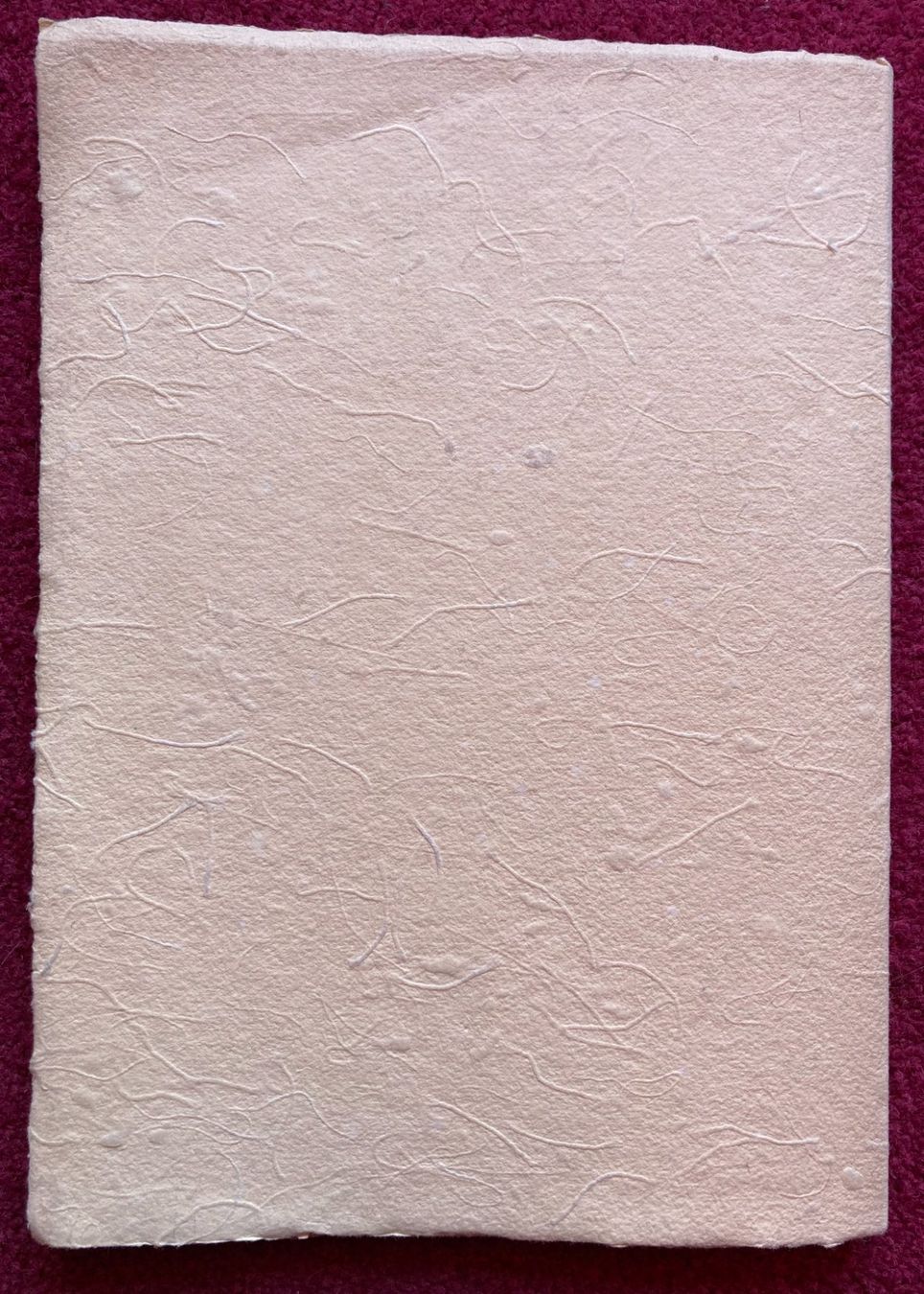 Libri: Charles-Albert Cingria - 1883-1954 / 1966 – Usato da Versoix venduto da HELVETICA_1 8
