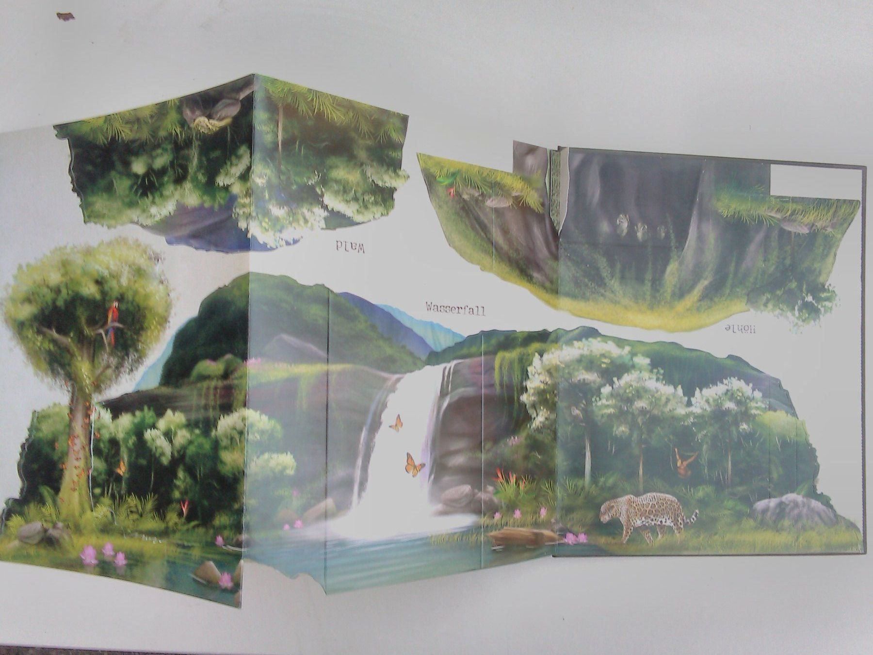 Libri: Expedition Südamerika Abenteuer Regenwal – Usato da St. Gallen venduto da elk2020 6