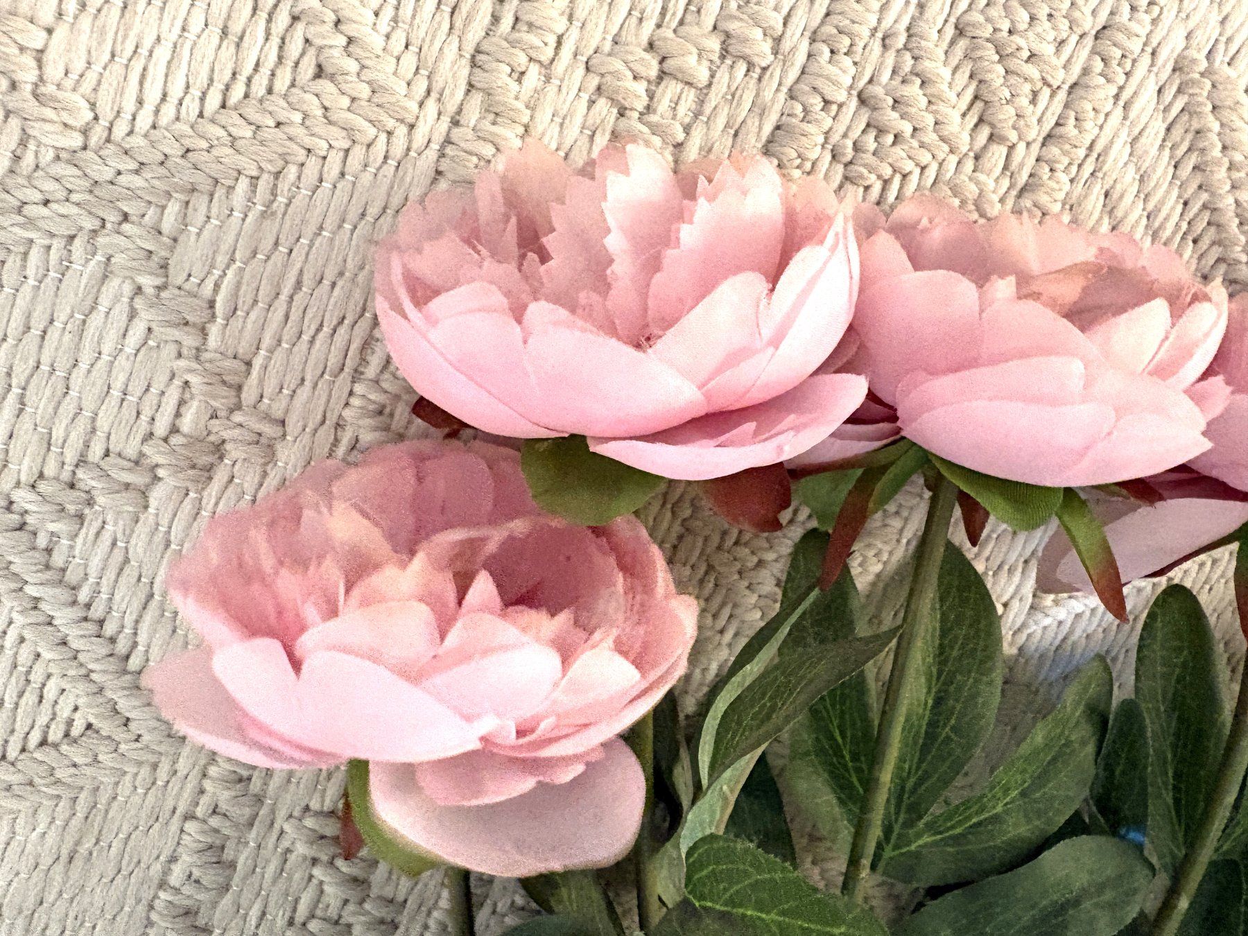 Alle Dekorationen: Rosen rosa 14 Stück – Neu (gemäss Beschreibung) aus Glattbrugg von Ariel012 5