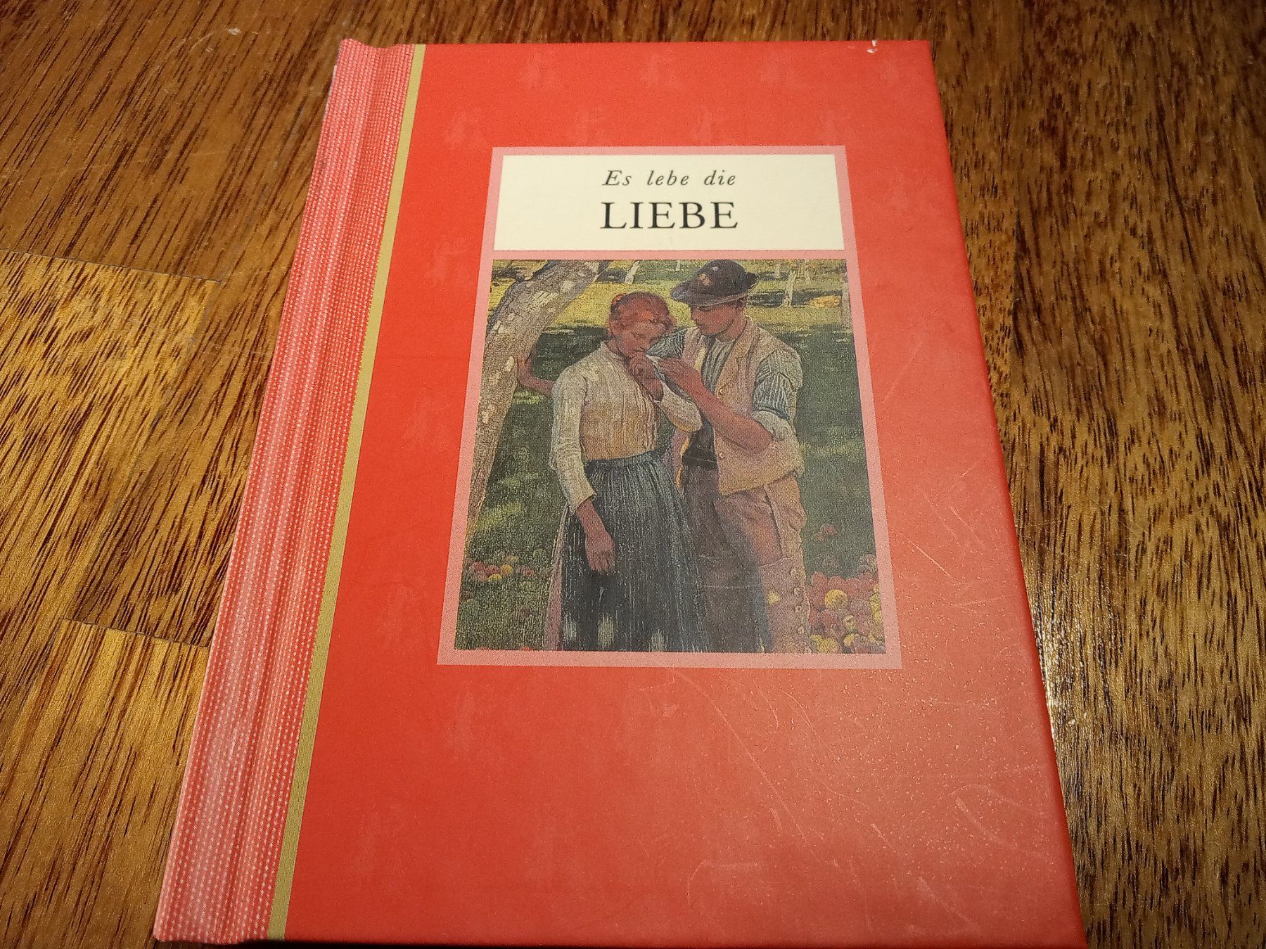 Bücher: Buch: Es lebe die Liebe – Gebraucht aus Büren SO von swelch