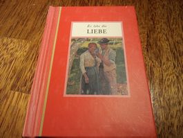 Buch: Es lebe die Liebe