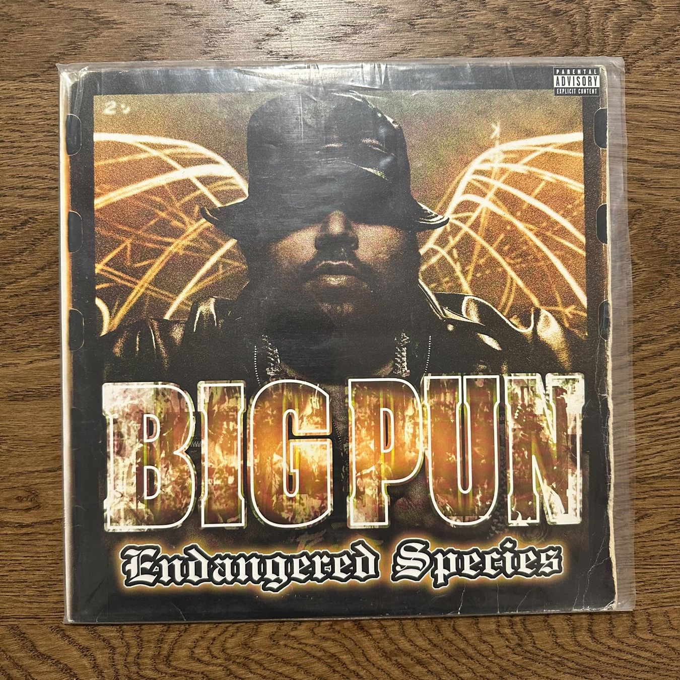 Dischi in vinile: Big Pun - Endangered Species LP – Usato da Viganello venduto da md__2rd2