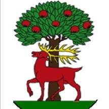 Profile image of INROK