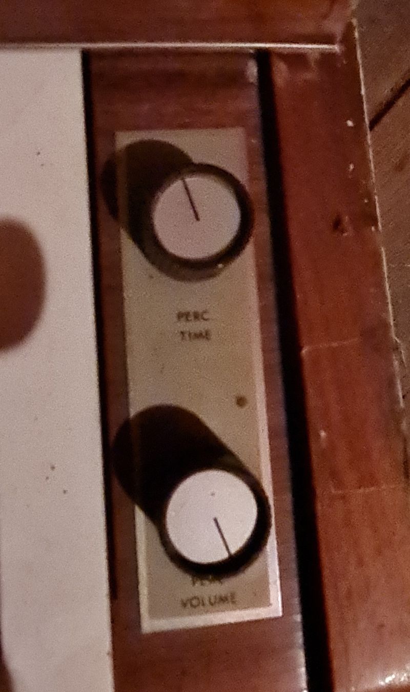 Strumenti musicali: Alte GEM Orgel aus den 60' – Difettoso da Campocologno venduto da Arte2108 7