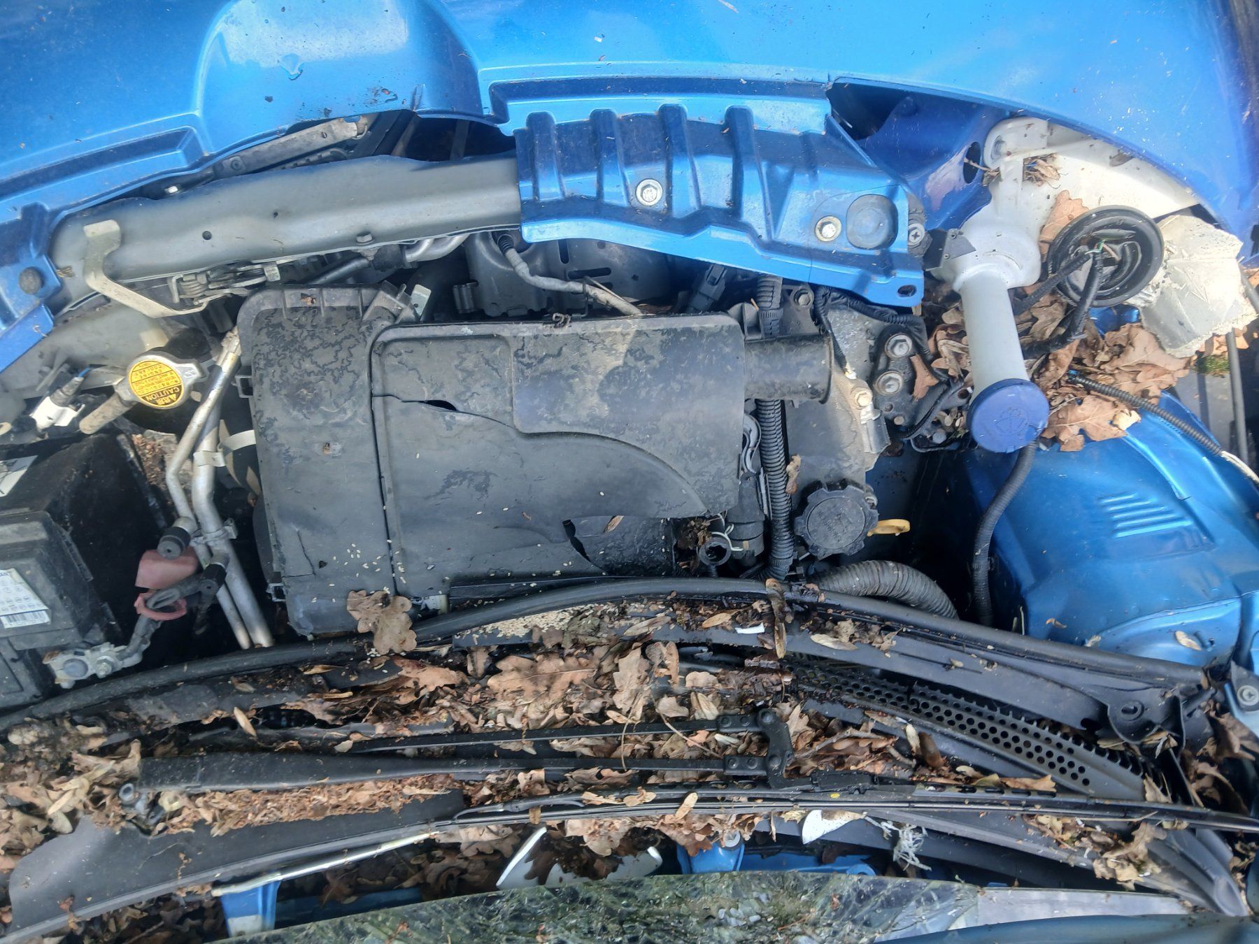 Peugeot Automobili: Peugeot 107 bleue pour pièces – Usato da Satigny venduto da tin_9y9v