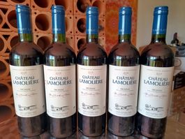 5 Fl. Château Lamolière, Fronsac AC, 2009