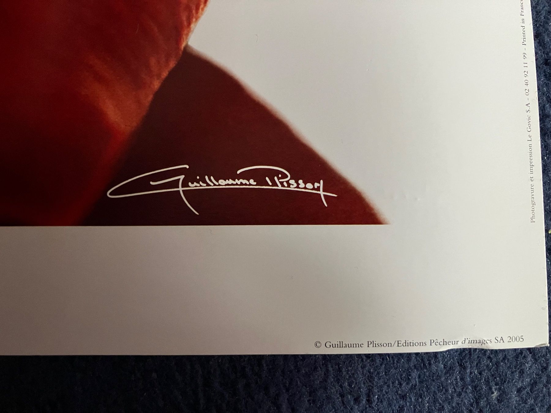 Foto & Immagini: Poster mit Motiv Rose 33x95 cm – Nuovo (secondo la descrizione) da Kloten venduto da dkra 3