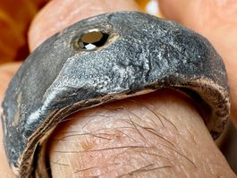 Stein der Weisen – einzigartiger Ring mit schwarzem Diamant