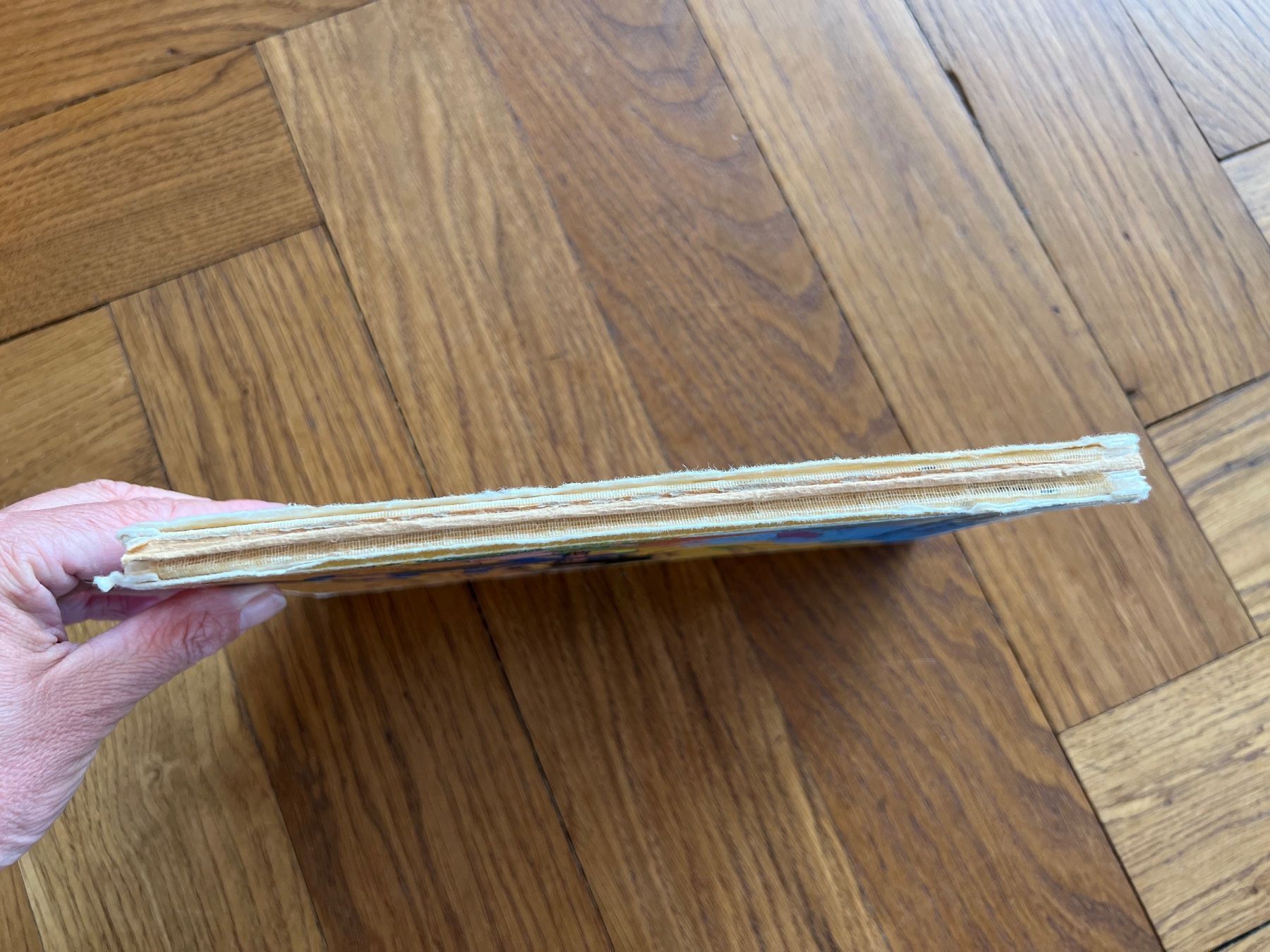 Bücher: Globi bei den Höhlenbewohnern 1. Auflage – Gebraucht aus Ennetbaden von mapa05 4