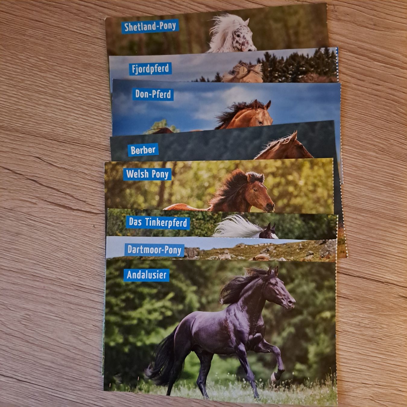 Cartes: Postkarten – D'occasion à Schaffhausen par xJuliax 2