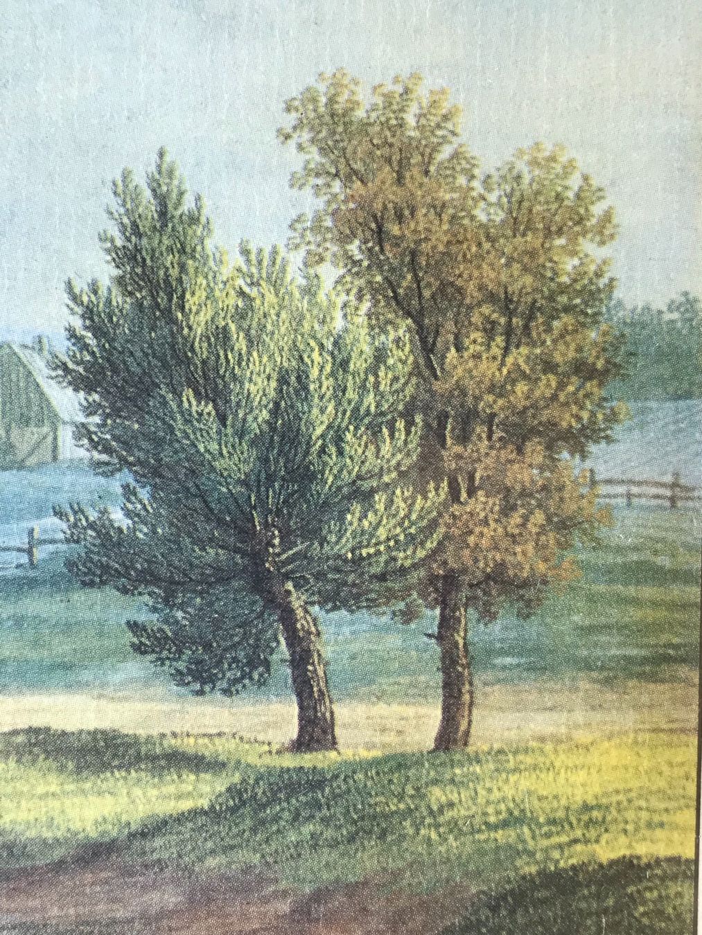 Grafica & Litografie: Barth W: Lithographie/ Lithografie/ Litografia – Usato da Fribourg venduto da SD1910 5