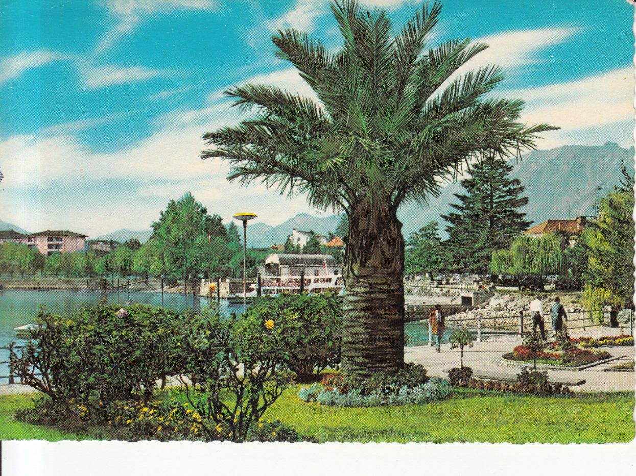 Cartoline postali: Locarno 1966 – Usato da Bürglen TG venduto da StampGraf