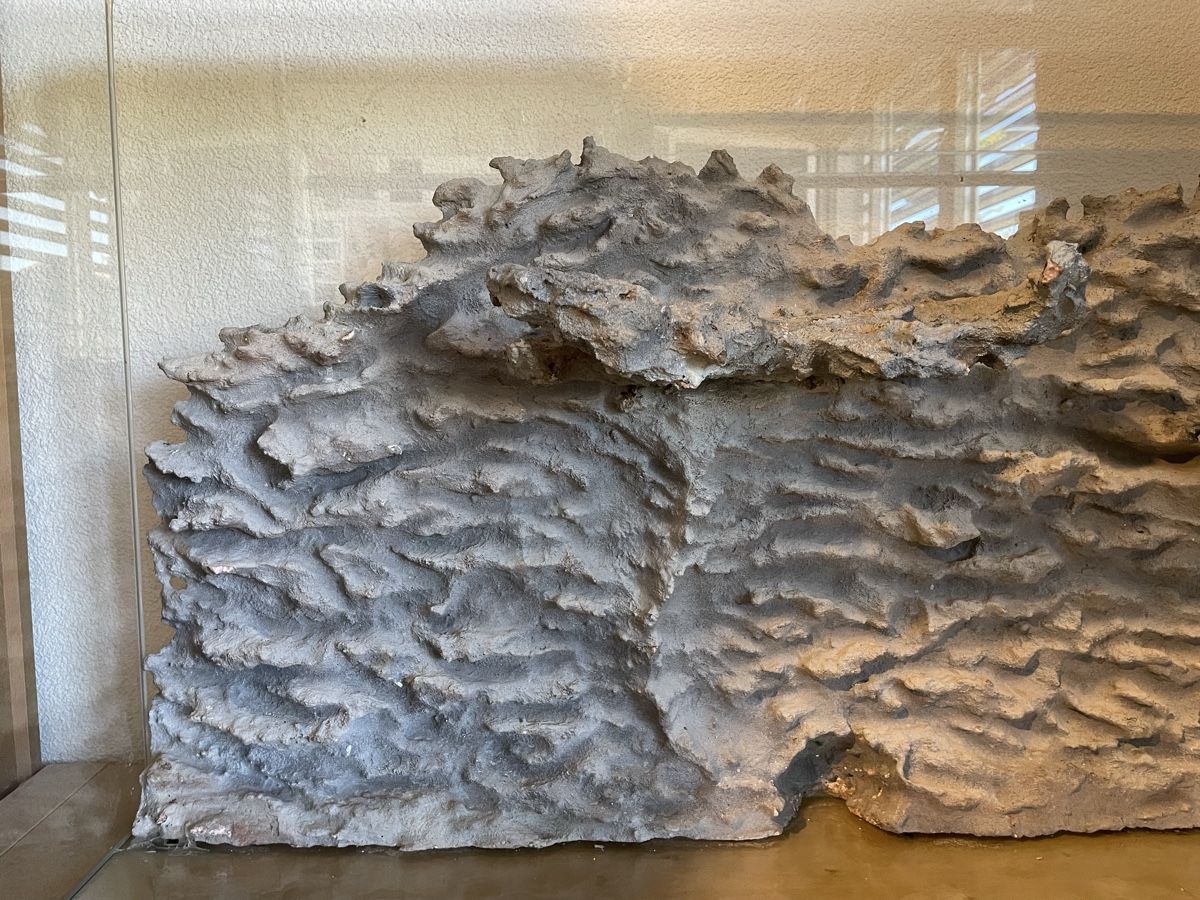 Terrario: Terrarium 120x50x60cm – Usato da Buttwil venduto da iri_s 3
