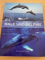 Wale und Delfine - Faszination Meerestiere