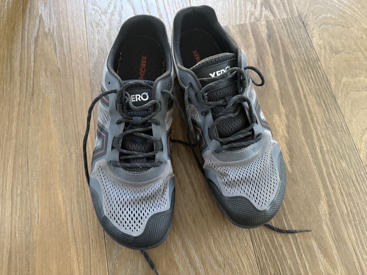 Scarpe da uomo: Barfussschuhe Xero Gr. 46 – Nuovo (secondo la descrizione) da Winterthur venduto da tanscha 1