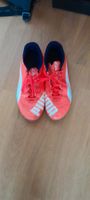 Hallenschuhe puma