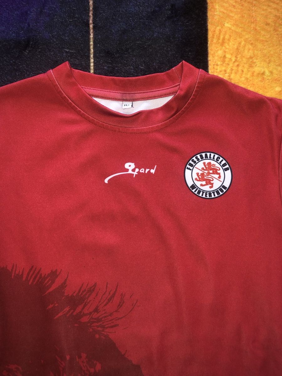 Pulls et sweat-shirts: Fc Winti Kinder Pulli 152 – D'occasion à Winterthur par goofelsmann 1