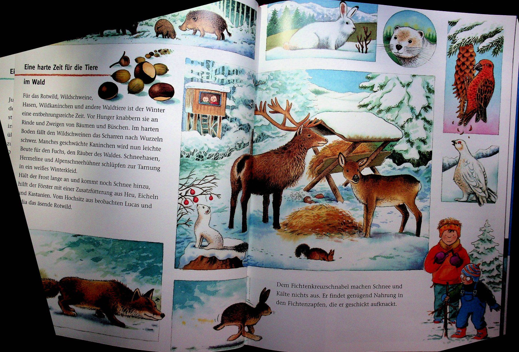 Libri: Minte-König/Döring Komm mit wir entdecken den Winter – Usato da Reitnau venduto da Zaomir 4