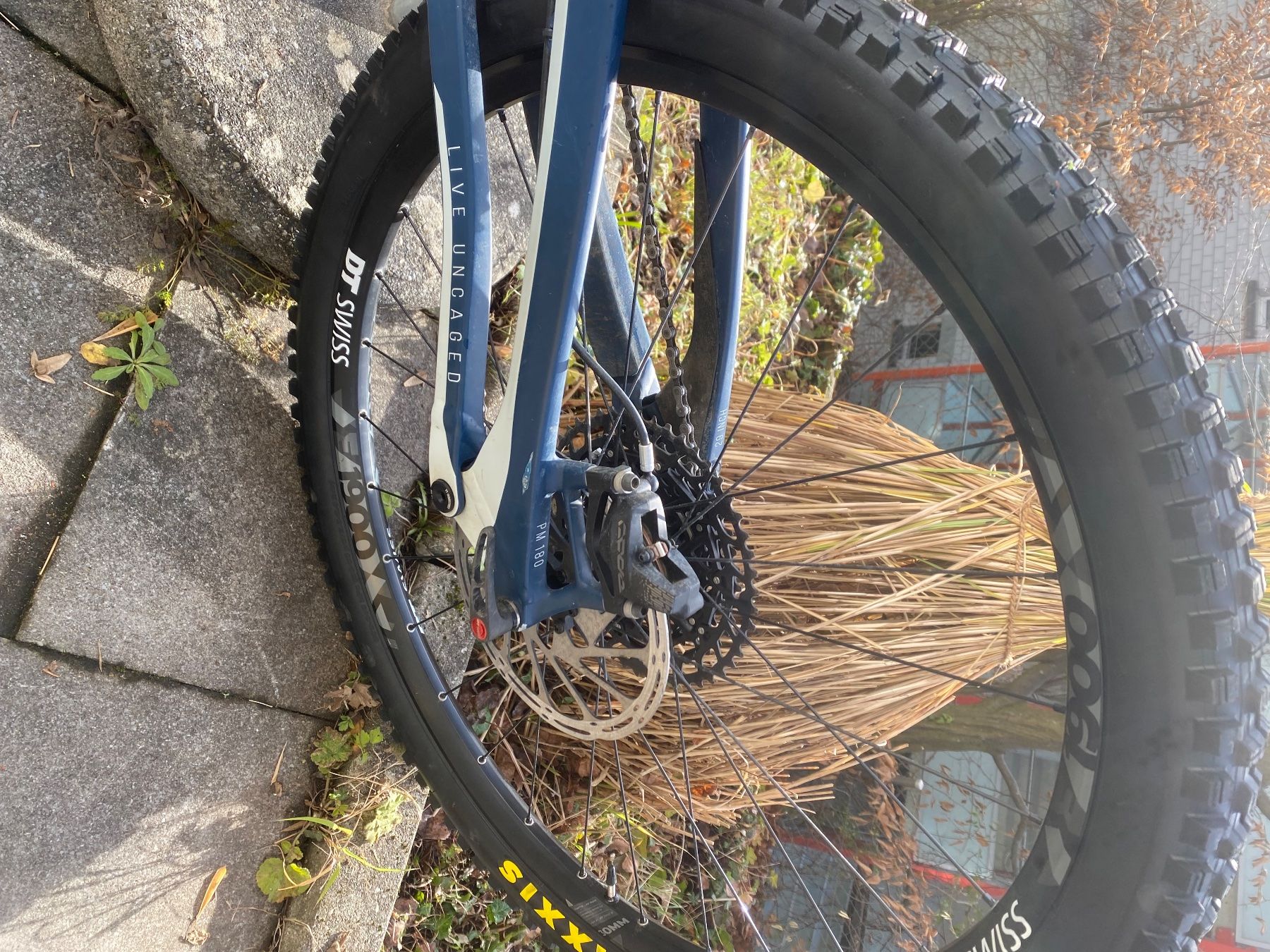 YT Biciclette: YT Capra 29 AL Base – Usato da Zürich venduto da rhe_9lqk 2