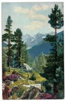 Partie an der Berninabahn, um 1920 (Meisser)