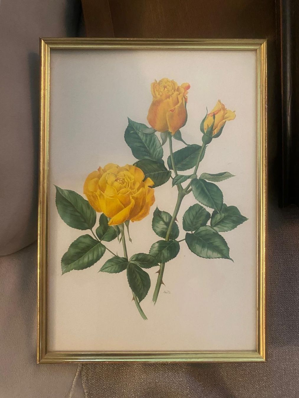 Foto & Immagini: Rosenbild im Goldrahmen – Usato da Goldau venduto da Anmala