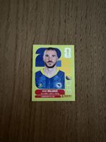 Panini FIFA World Cup 2026, BIH 6