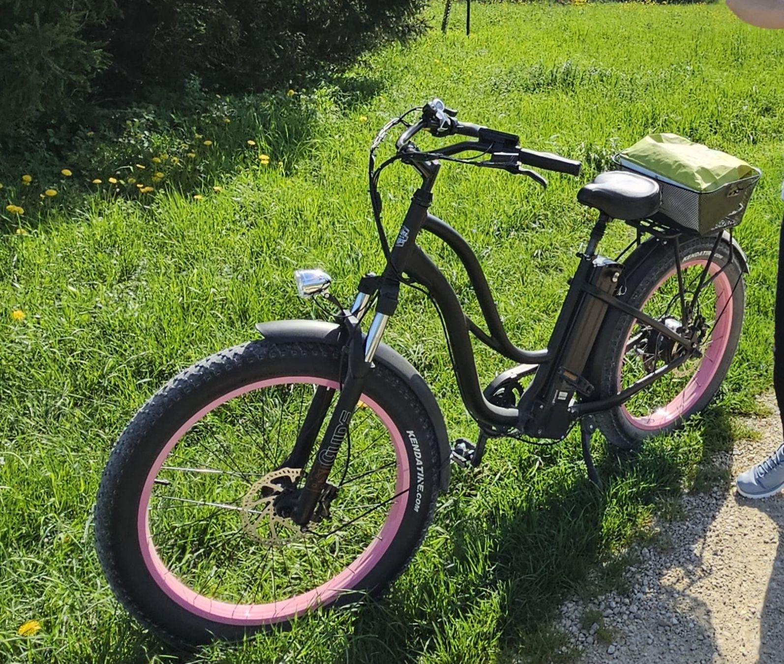 Biciclette: Cruiser Damen E-Bike Fat Wheels – Usato da Bellach venduto da it75 1