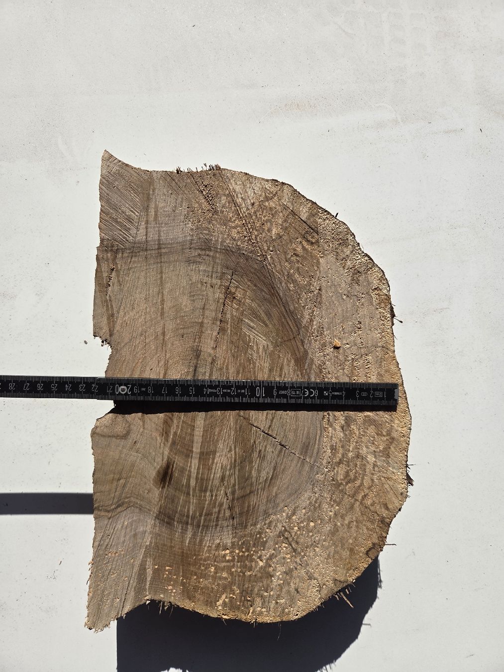 Articoli in legno: Nussbaum Baumscheibe / Holzscheibe rustikal – ca. 28 cm – Nuovo e nell'imballaggio originale da Muttenz venduto da Candro99 3