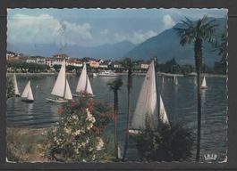 ASCONA - VIELE BOOTE   (L