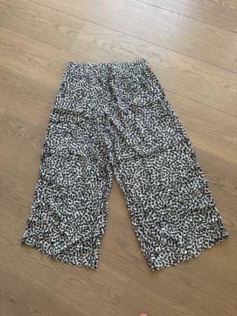 Hose
