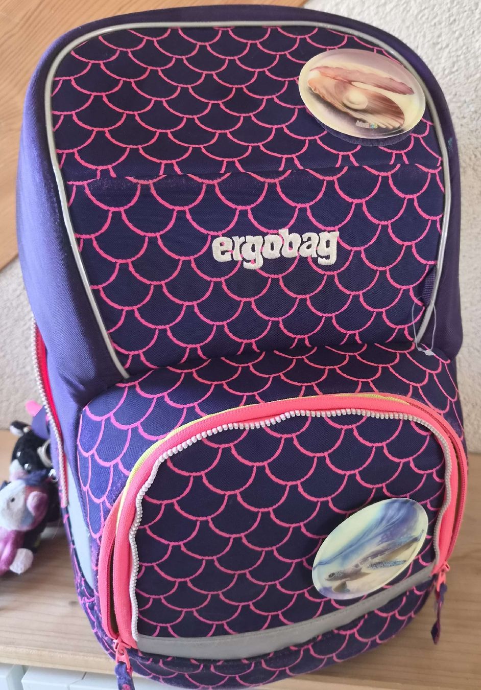 Ergobag Borse & Zaini: Ergobag Schulrucksack mit Turnsack – Usato da Aarau venduto da bikestones