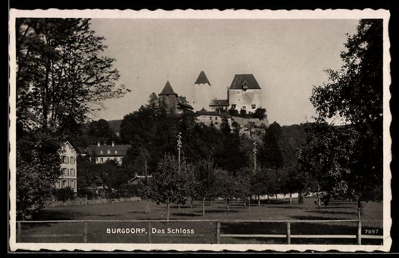 Cartoline postali: AK Burgdorf, Das Schloss – Usato da Berlin venduto da bartko-reher